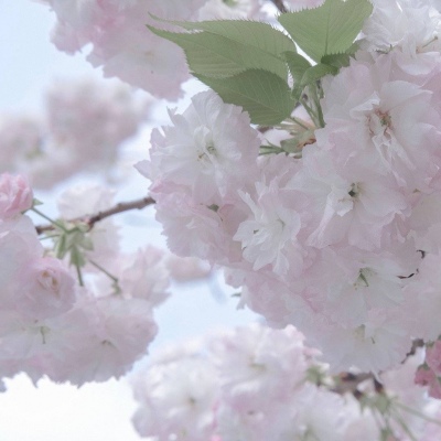 Furry插画氛围营造兽圈社群